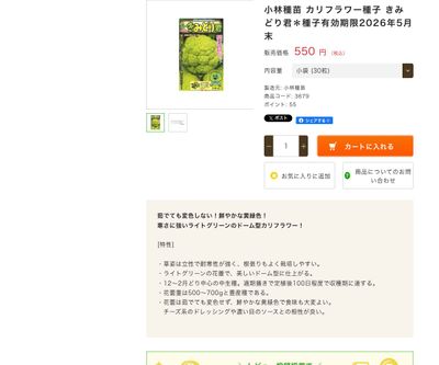 きみどり君の画像