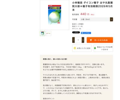 はや丸聖護院大根の画像