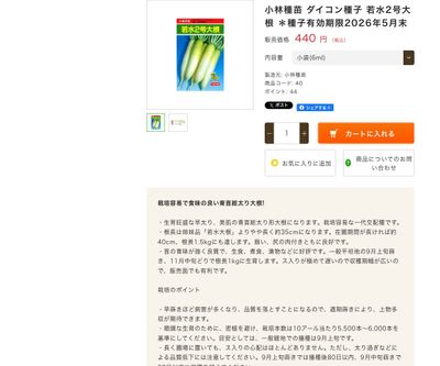 若水2号大根の画像