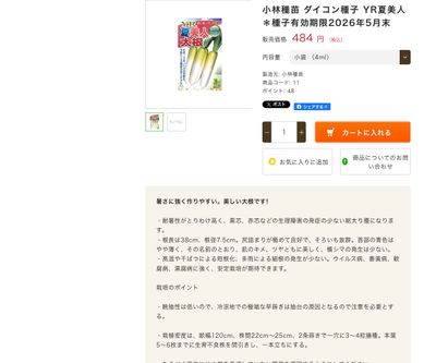 YR夏美人の画像