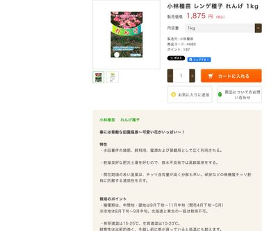 れんげ 1kgの画像