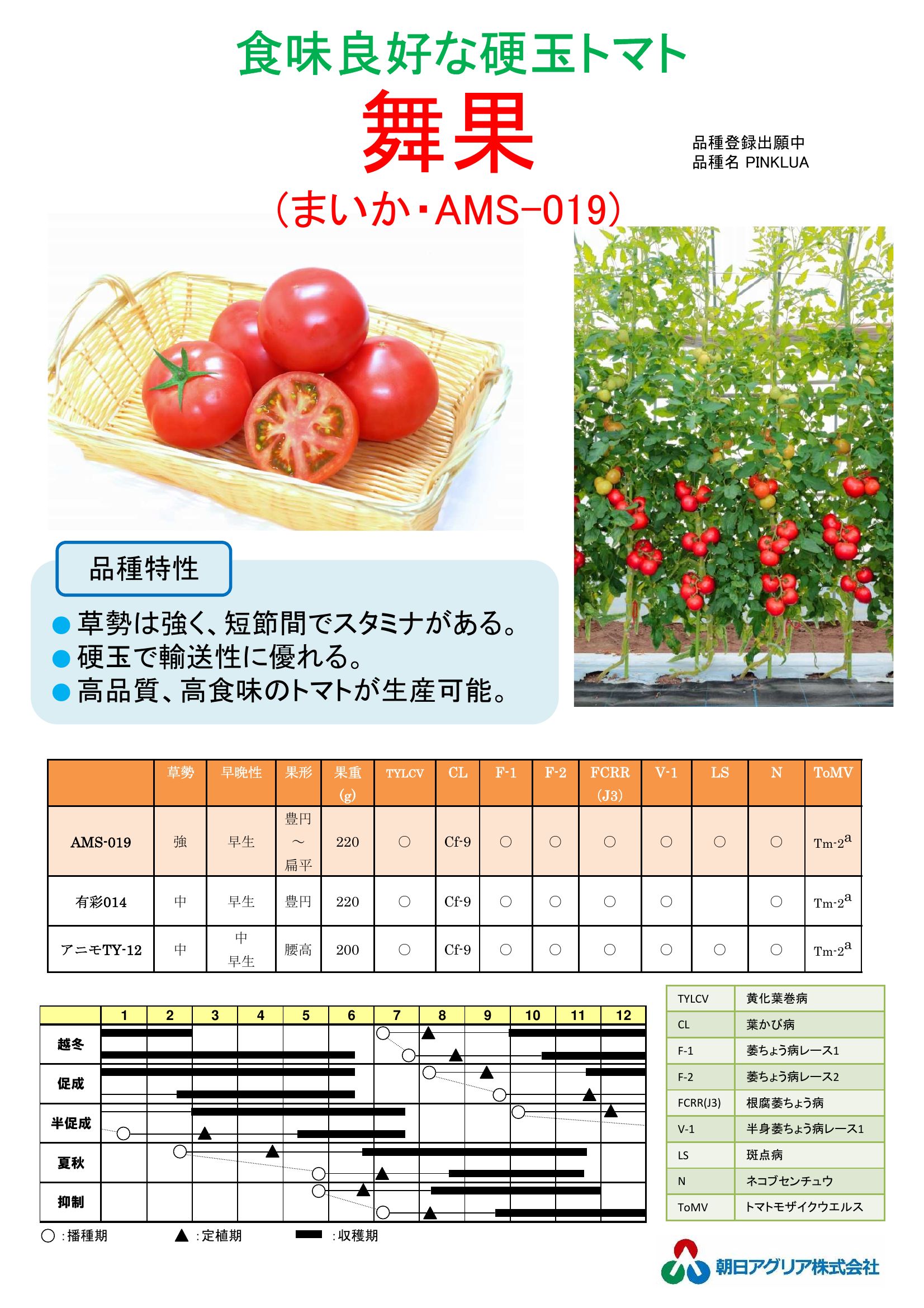 舞果
