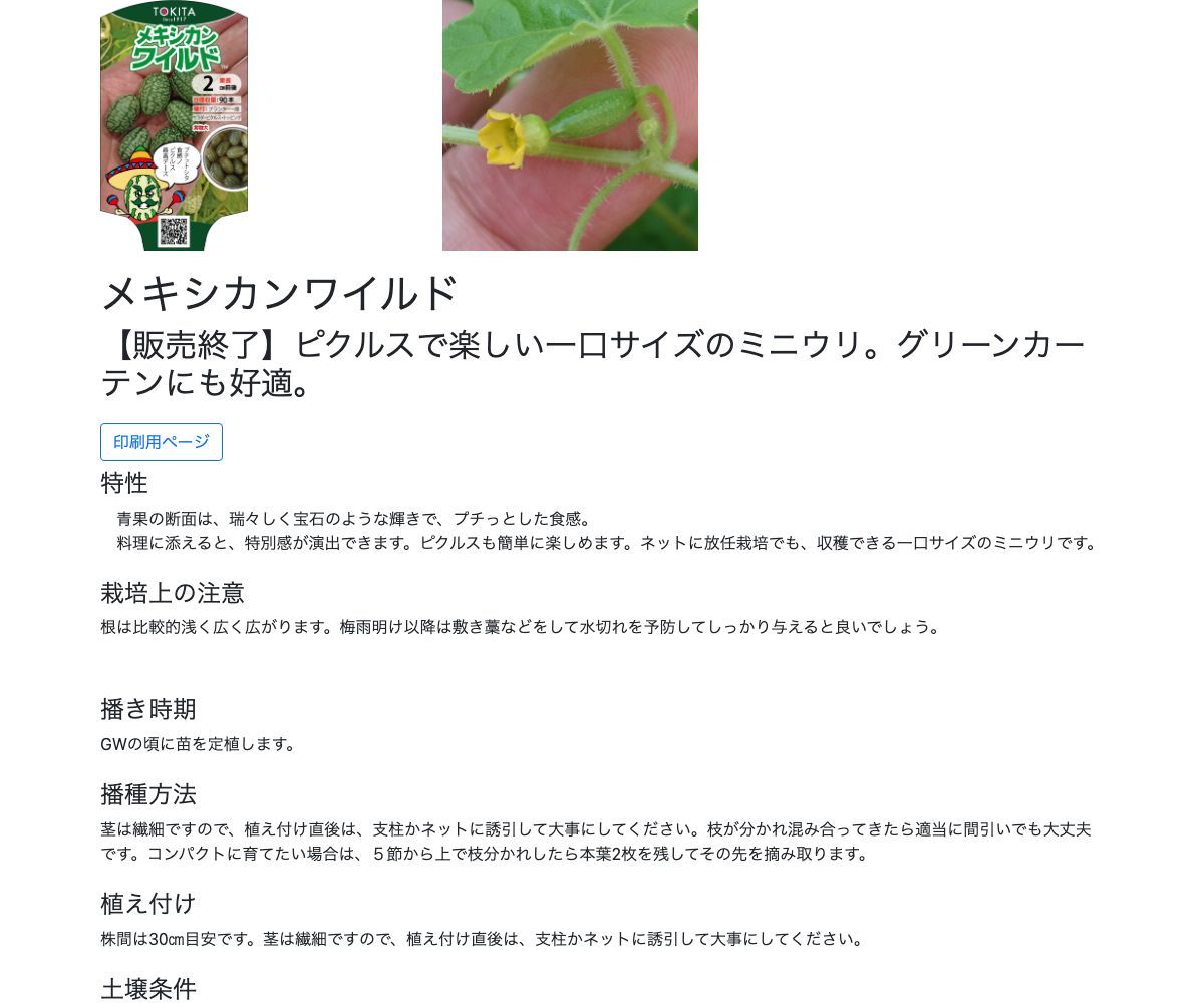 メキシカンワイルド