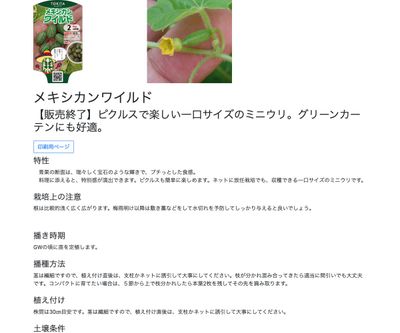 メキシカンワイルドの画像