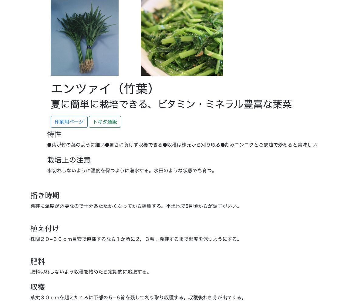 エンツァイ（竹葉）