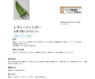 レディーフィンガーの画像