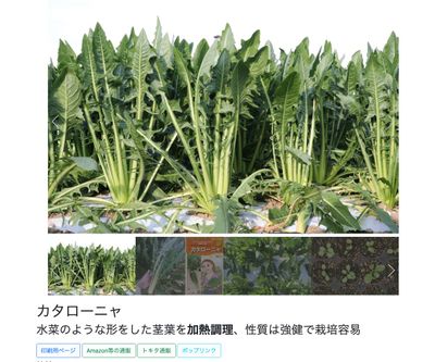 カタローニャの画像