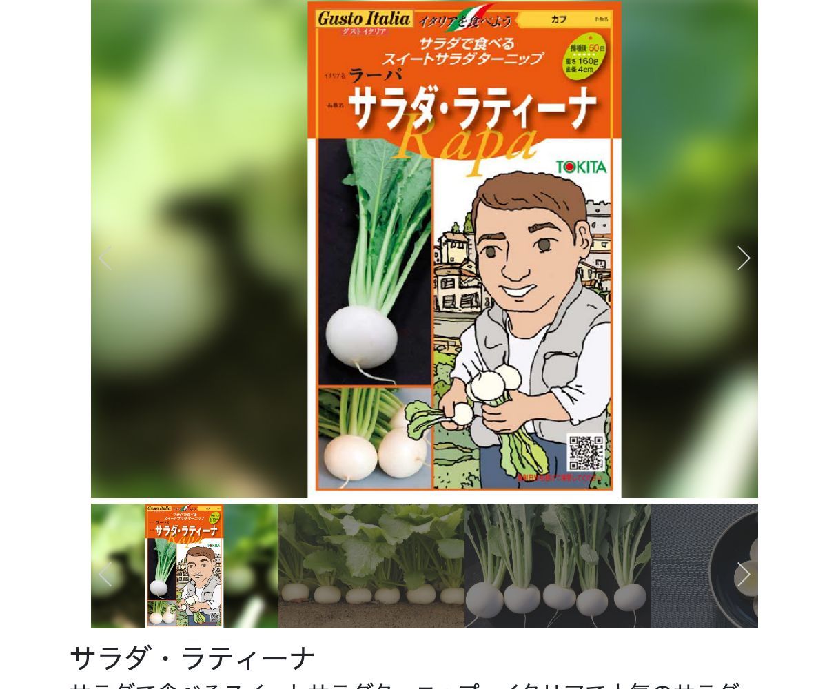 サラダ・ラティーナ