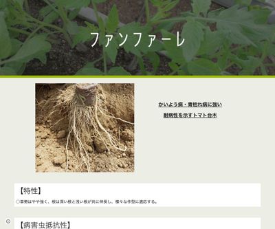 ファンファーレの画像