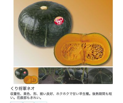 くり将軍ネオの画像