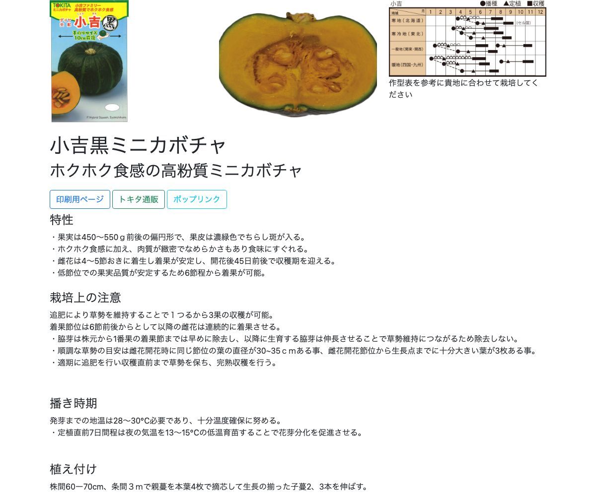 小吉黒ミニカボチャ