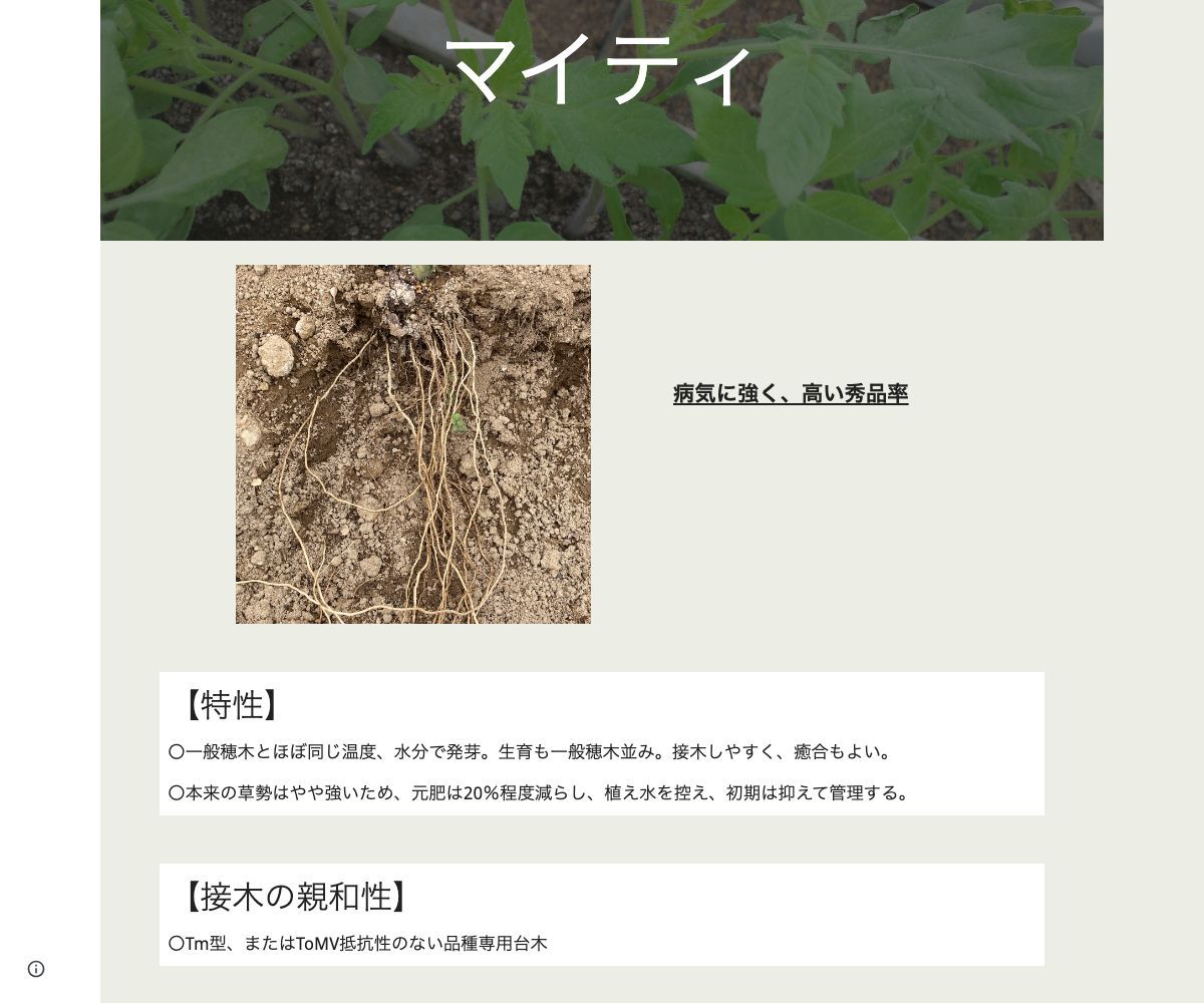 マイティ