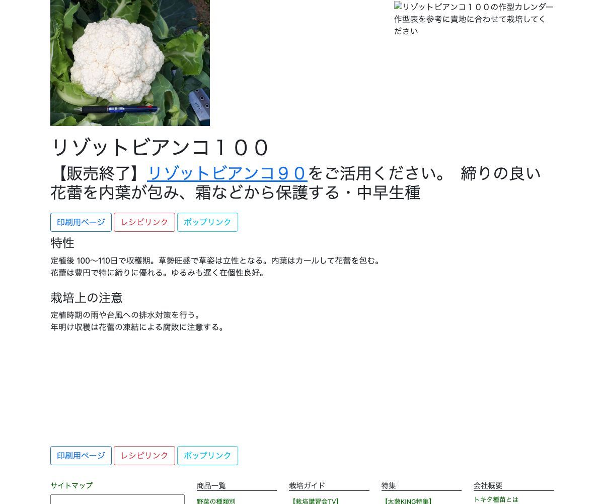 リゾットビアンコ１００