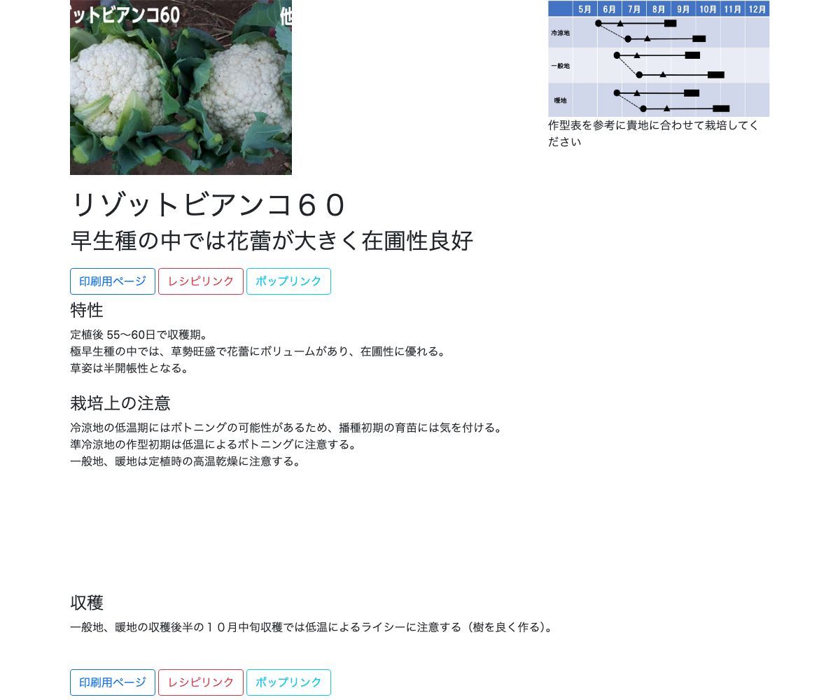 リゾットビアンコ６０