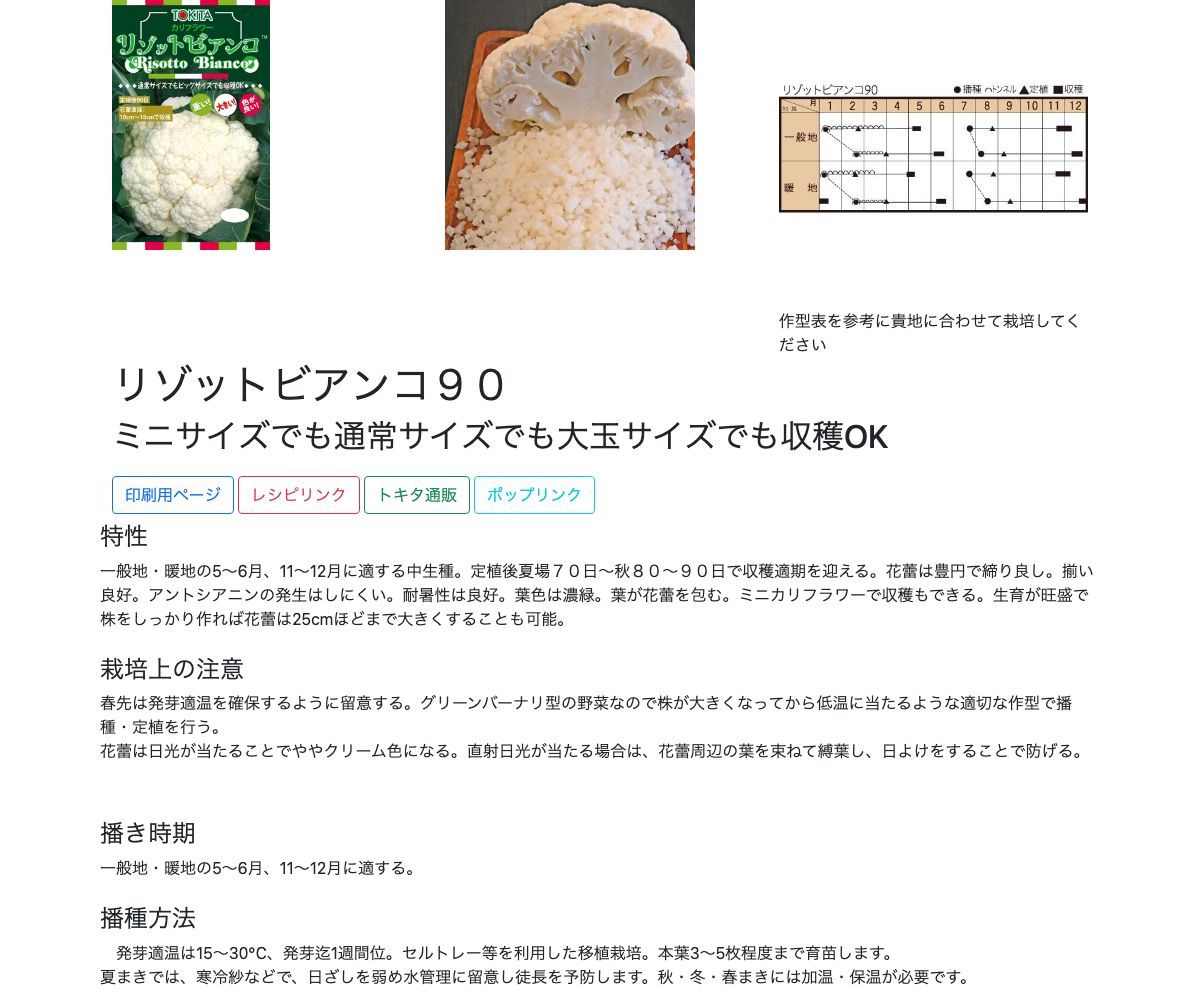 リゾットビアンコ９０