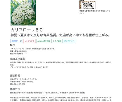 カリフローレ６０の画像