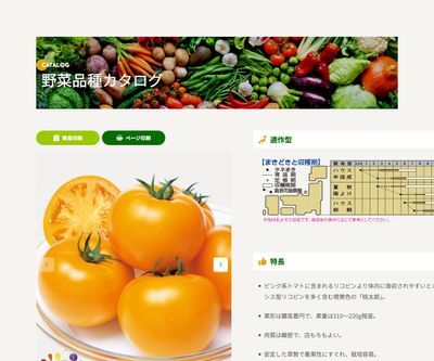 桃太郎ゴールドの画像