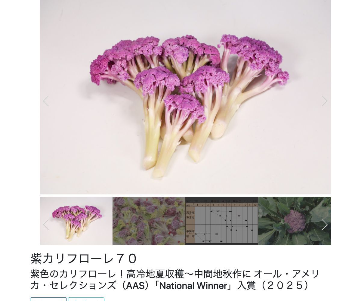 紫カリフローレ７０