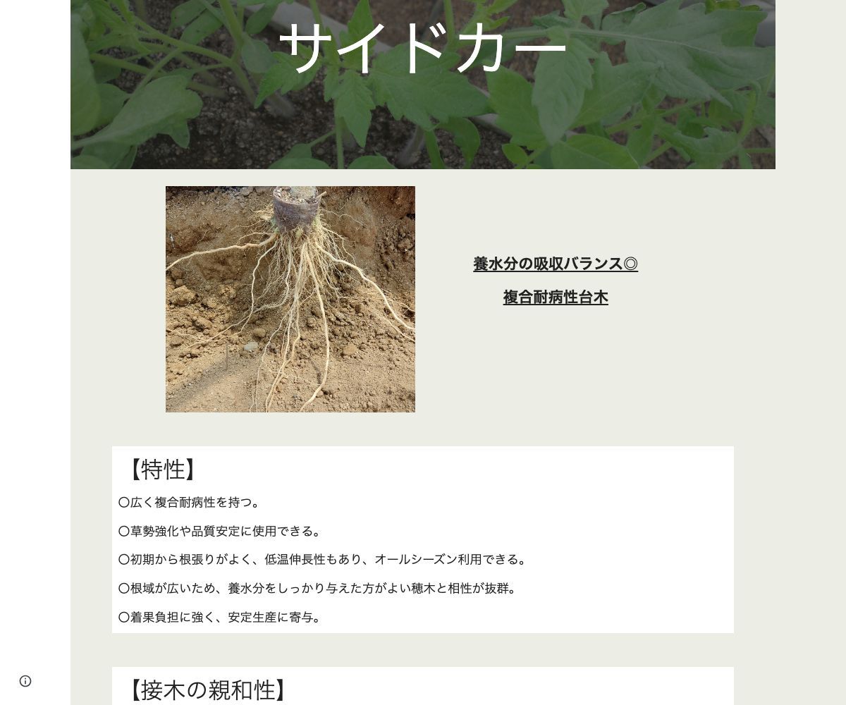 サイドカー