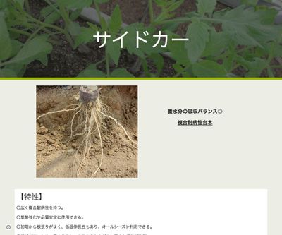 サイドカーの画像