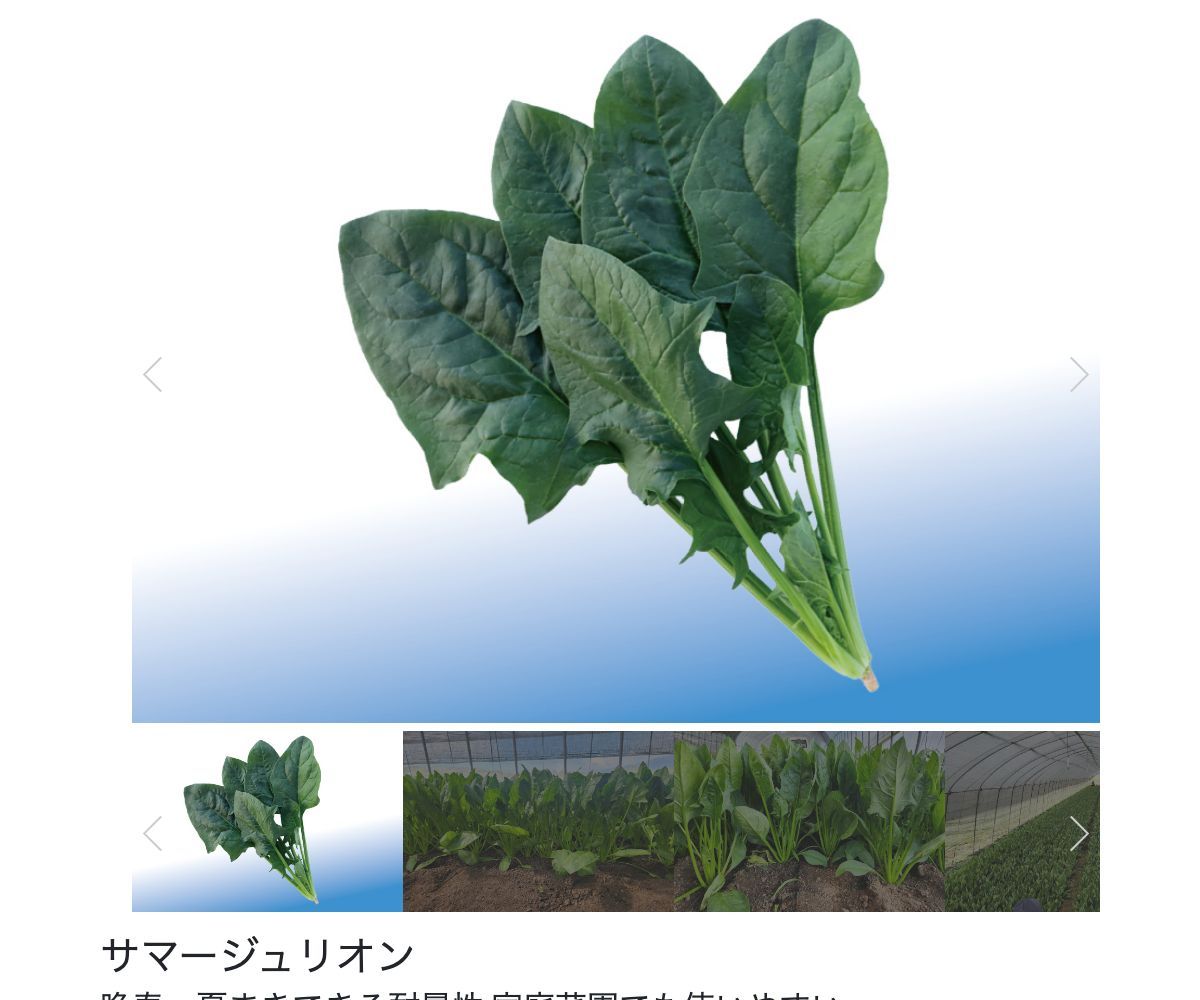 サマージュリオン