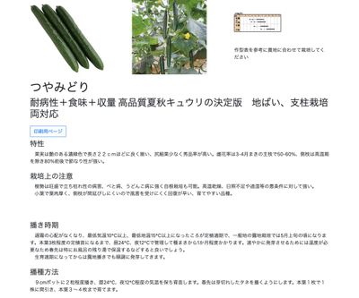 つやみどりの画像