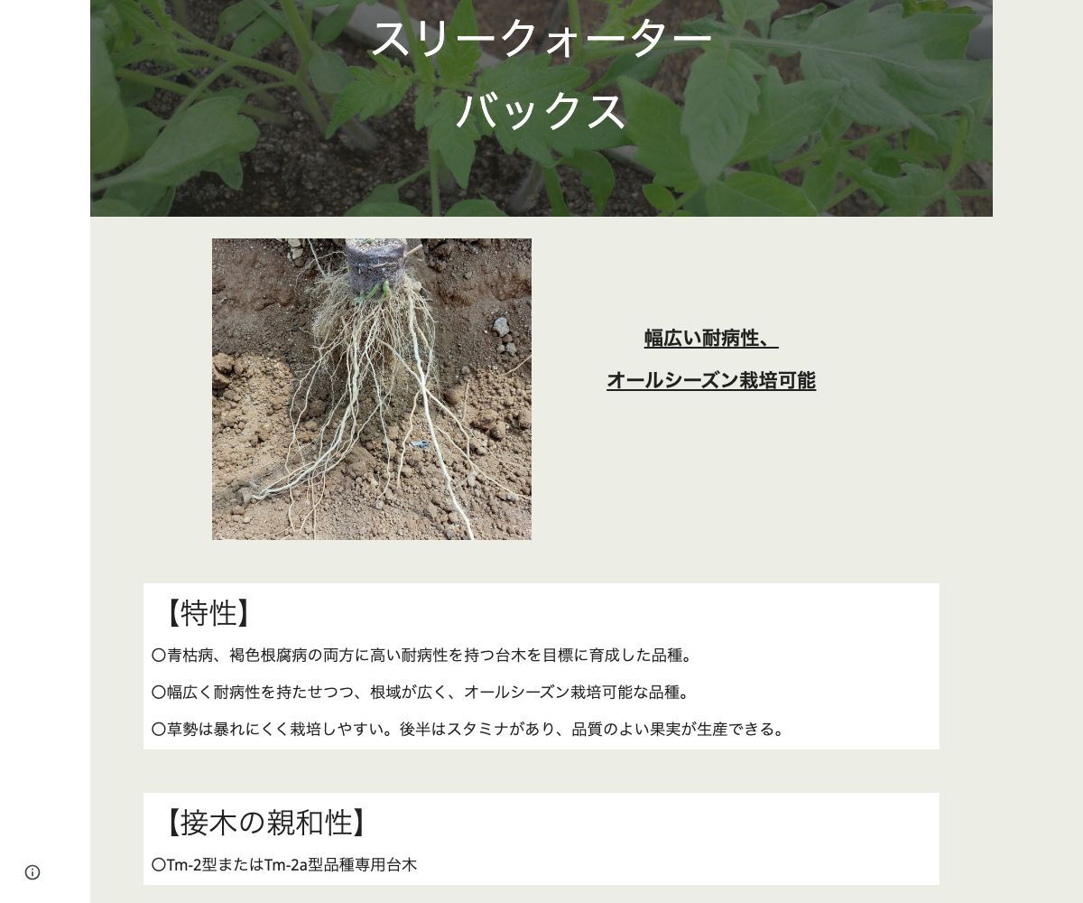 スリークォーターバックス