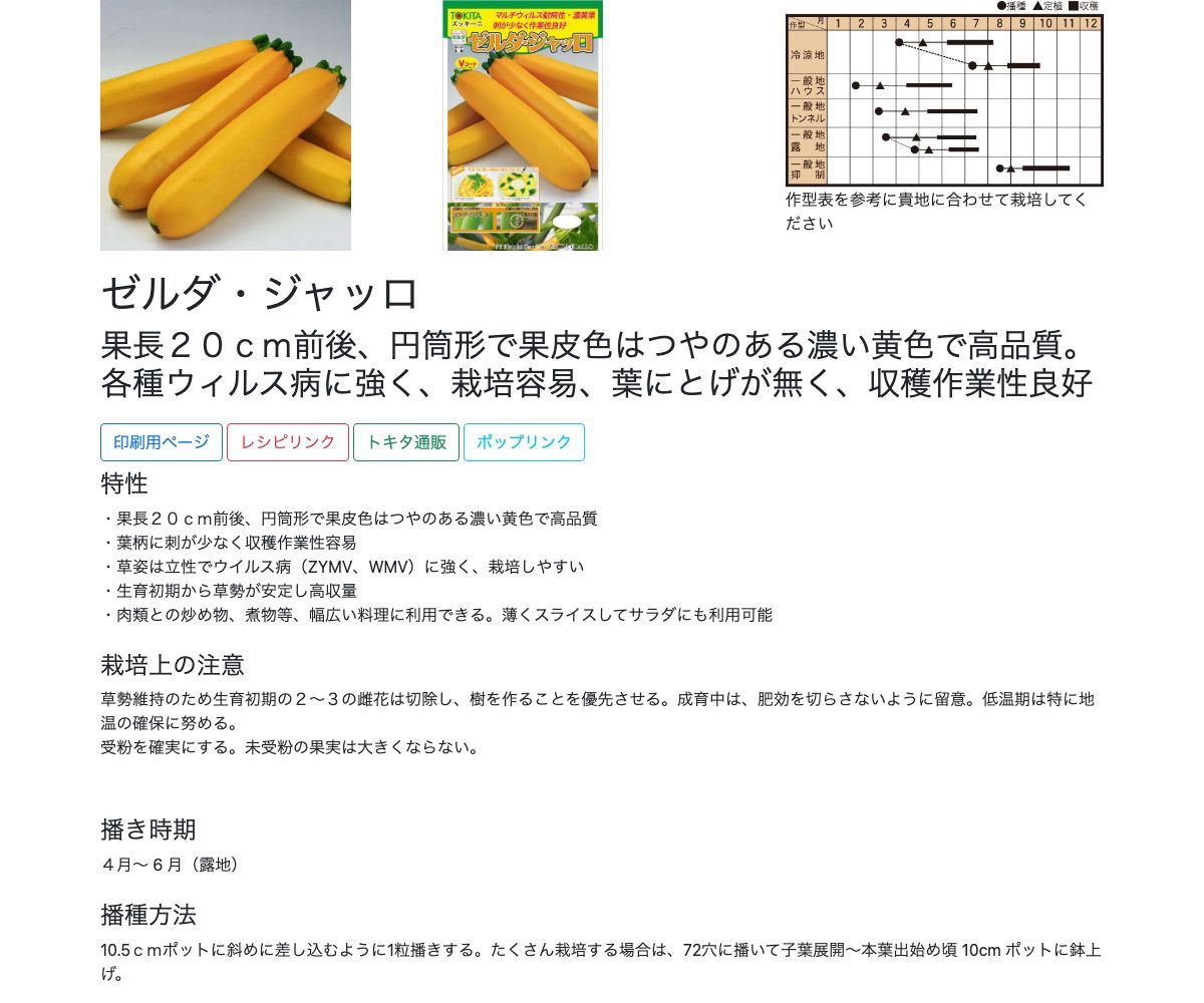 ゼルダ・ジャッロ