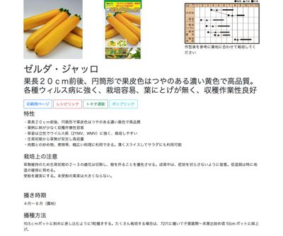 ゼルダ・ジャッロの画像