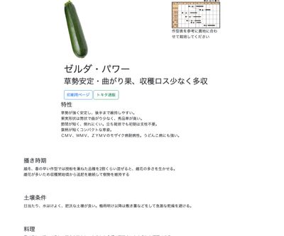 ゼルダ・パワーの画像