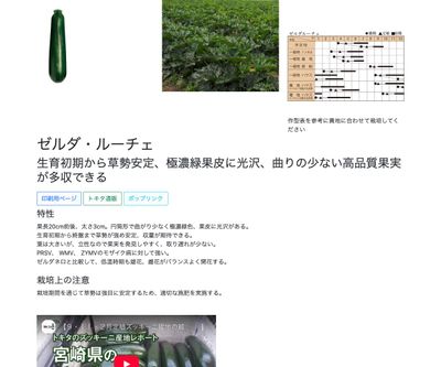 ゼルダ・ルーチェの画像