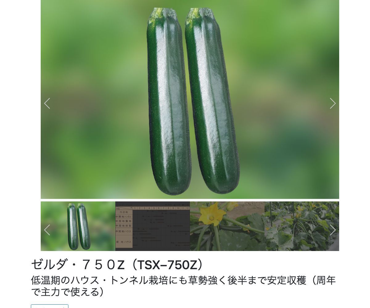 ゼルダ・７５０Z（TSX−750Z）