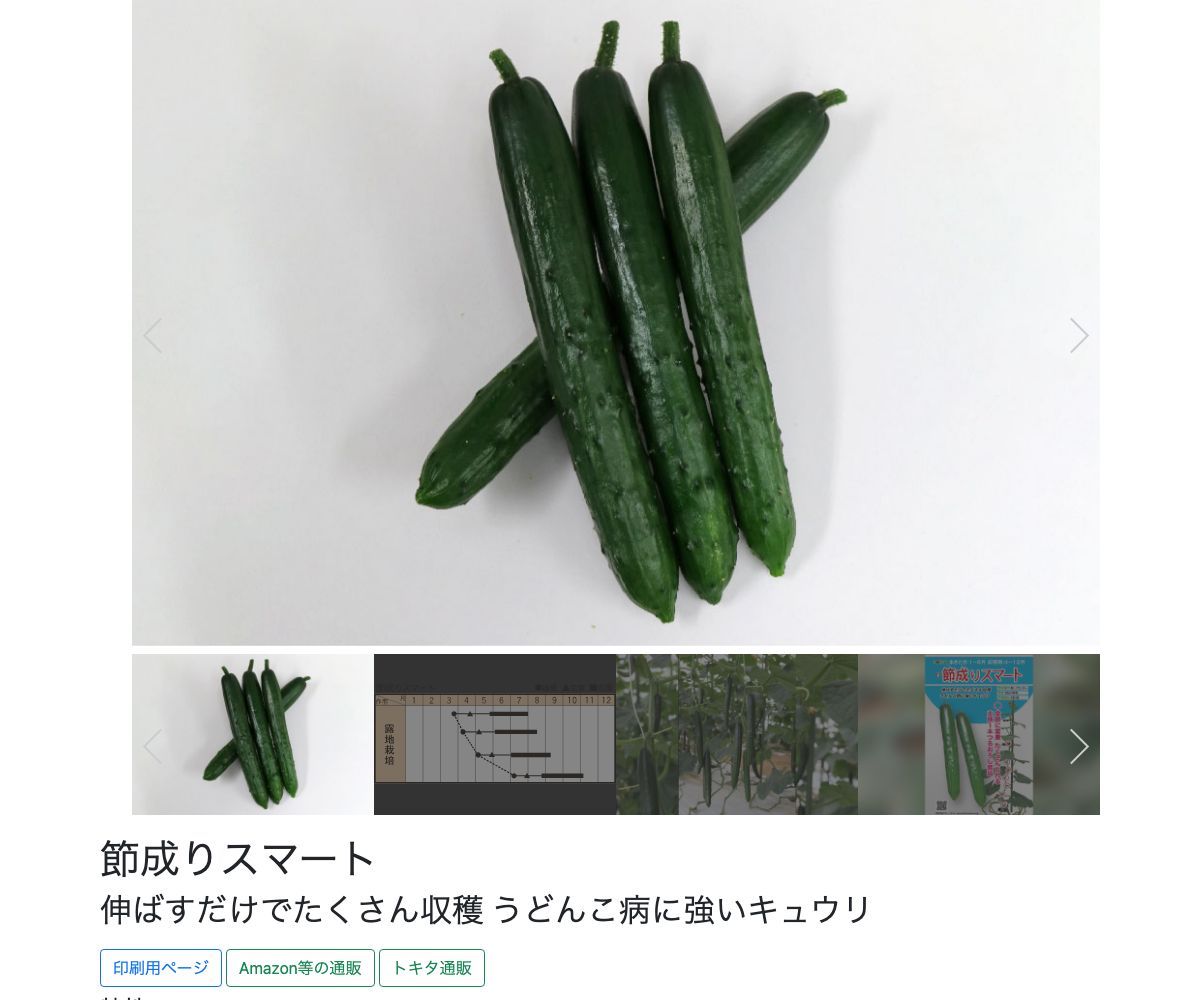 節成りスマート