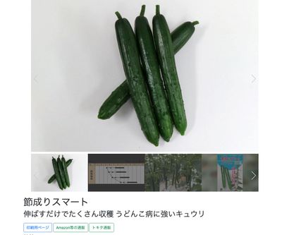 節成りスマートの画像