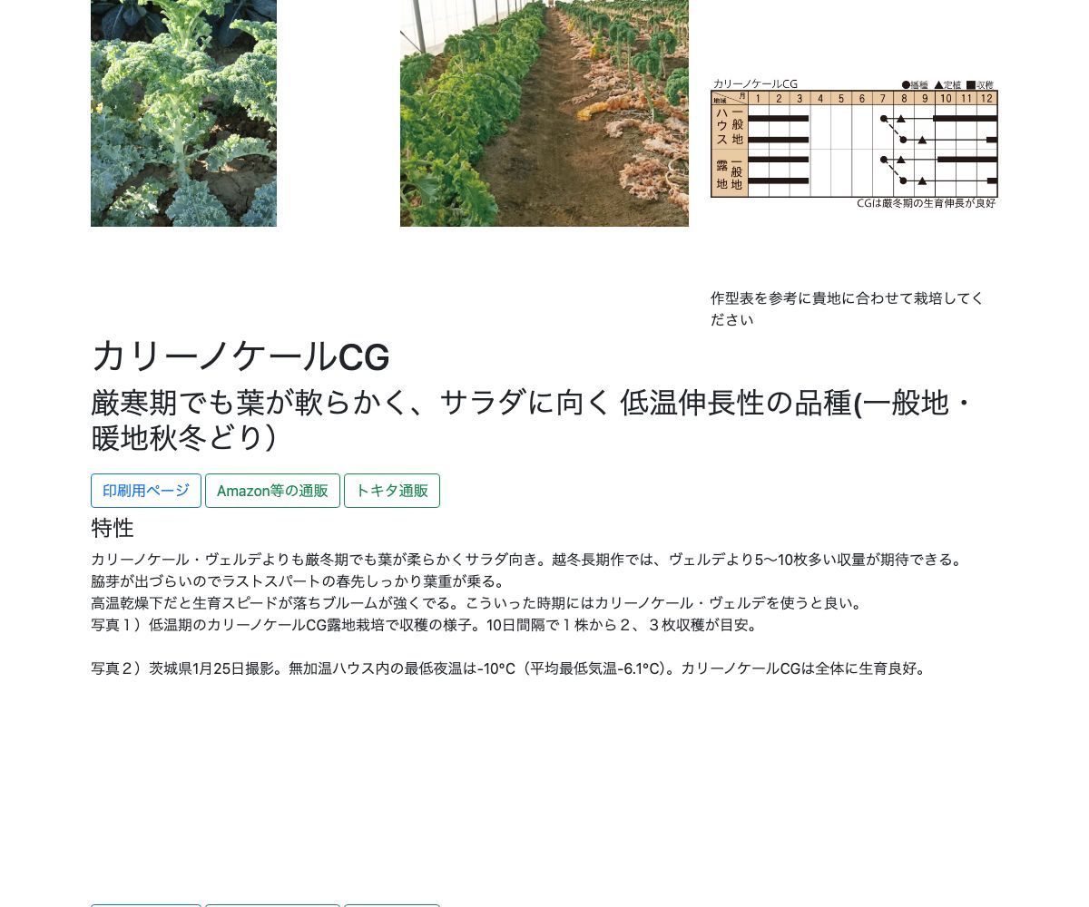 カリーノケールCG