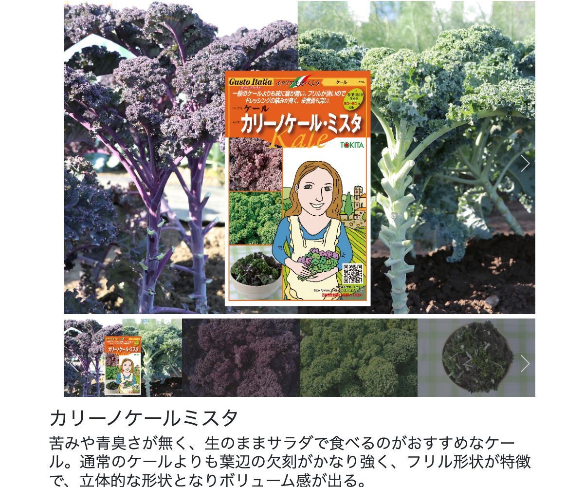 カリーノケールミスタ