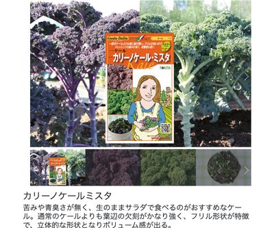 カリーノケールミスタの画像