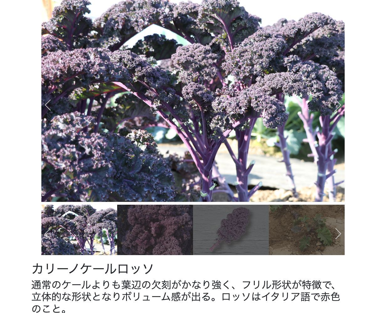 カリーノケールロッソ