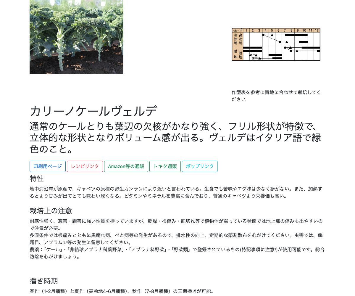 カリーノケールヴェルデ