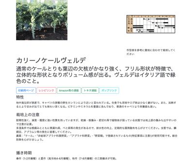 カリーノケールヴェルデの画像