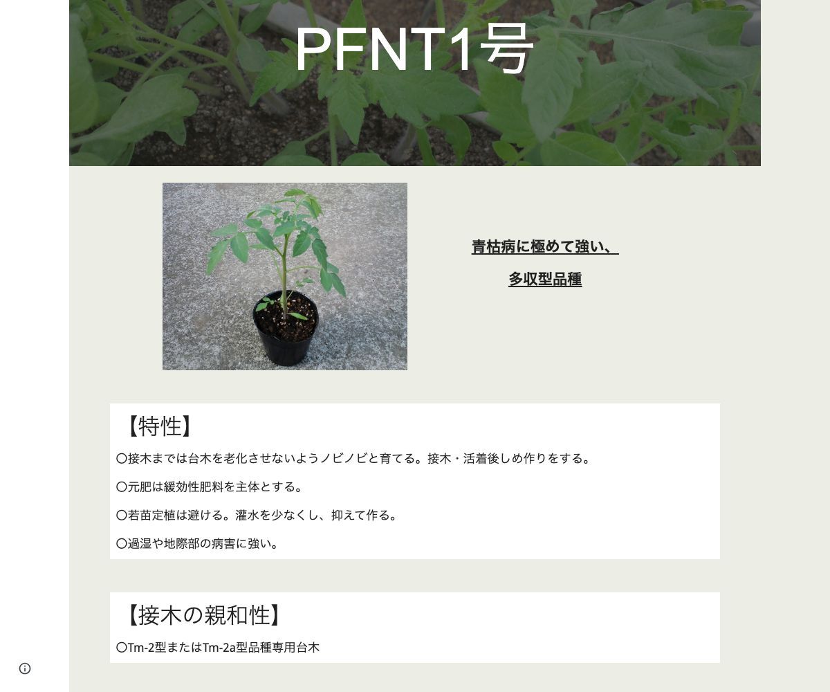 PFNT1号