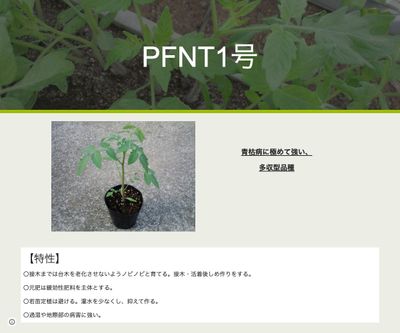 PFNT1号の画像