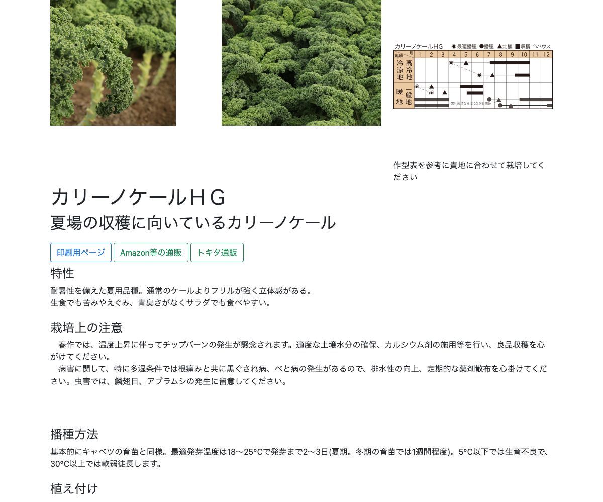 カリーノケールＨＧ