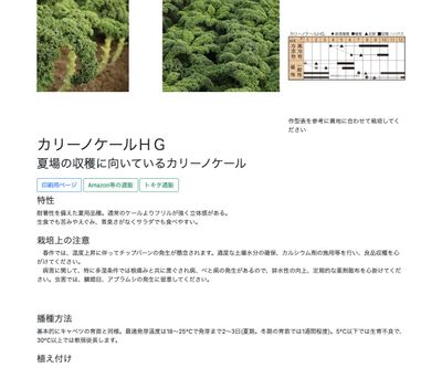 カリーノケールＨＧの画像