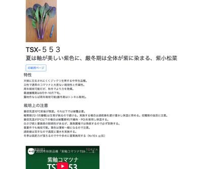 TSX-５５３の画像