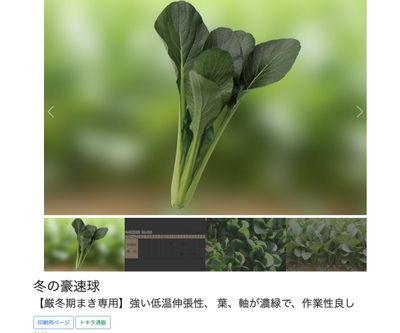 冬の豪速球の画像