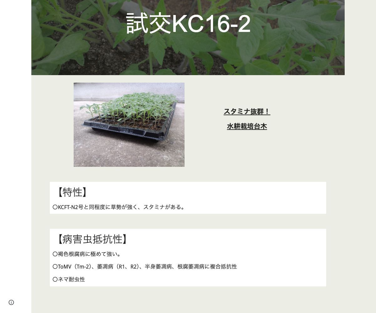 試交KC16-2