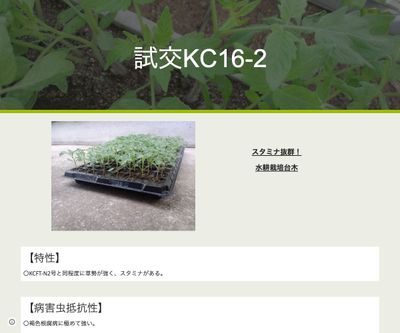 試交KC16-2の画像