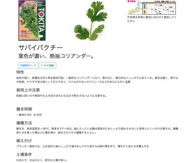 サバイパクチーの画像