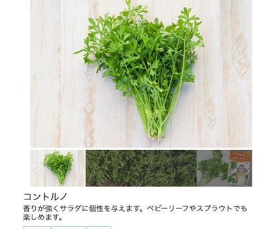 コントルノの画像